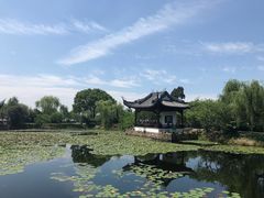 -无锡蠡湖国家湿地公园-蠡园