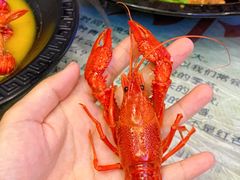 -金陵暴走小龙虾·迷踪蟹(凯德MALL店)