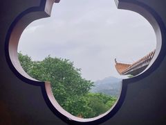 -深圳仙湖植物园