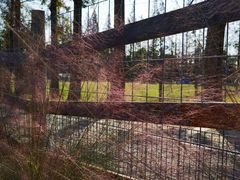 -前小桔亲子创意农场·草莓采摘·露营烧烤