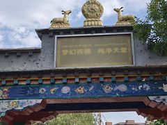 -武清南湖绿博园