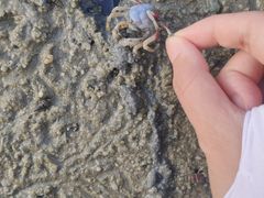 -北海金海湾红树林生态旅游区