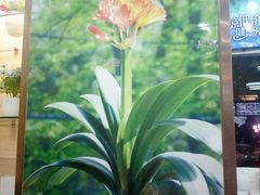 -赵奶奶水饺锅贴小酒馆(丁字沽店)