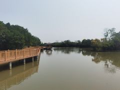 -大湾区中央湿地公园