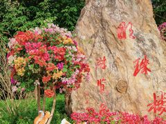 -广州市白云山风景名胜区