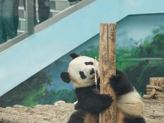 -大连森林动物园