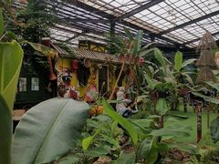 -呀路古热带植物园