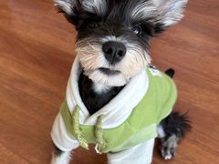 -FAELING PETS美天灵宠物(富力广场店)