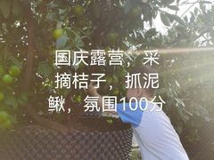 -前小桔亲子创意农场·草莓采摘·露营烧烤