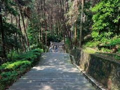 -铁山坪森林公园