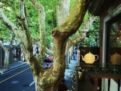 -古董花园(思南路42弄小区店)