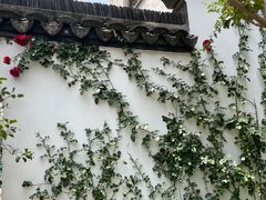 -惠山古镇·寄畅园