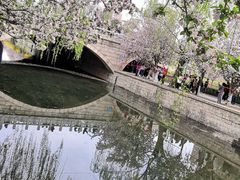 -海棠花溪(元大都城垣遗址公园)