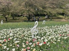 -苏州上方山国家森林公园