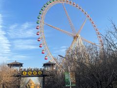 -辛玛王国游乐园