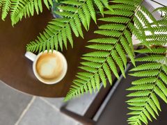 -寒香会社(平江路店)