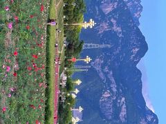 -华山风景名胜区