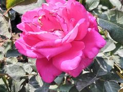 -人民公园(罗湖区)