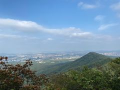 -紫金山山顶公园