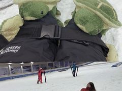 -绍兴启迪乔波冰雪世界