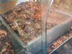 -老黄记手撕烤兔(玉林街店)