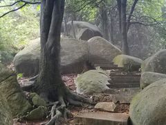 -火炉山森林公园