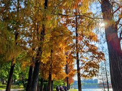 -南国桃园旅游度假区