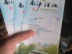 -大湾区中央湿地公园