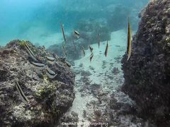 -白沙湾海滩