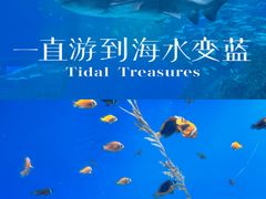 -海合安成都极地海洋公园