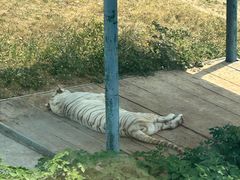 -无锡动物园·太湖欢乐园