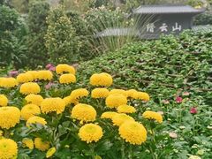 -南山植物园