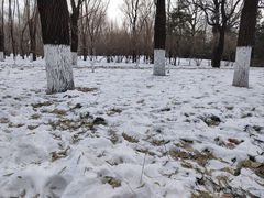-朝阳公园