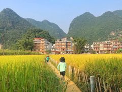 -靖西鹅泉风景区