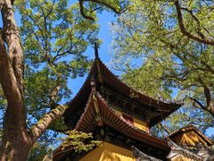 -普陀山风景名胜区-法雨禅寺