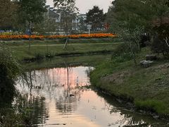 -鹅湖玫瑰文化园