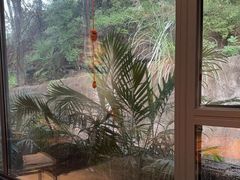 -恬阿姨庭院餐厅·生日宴