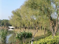 -昆山城市生态森林公园