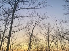 -云碧峰国家森林公园