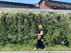 -梅村泰伯庙