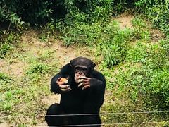 -石家庄市动物园