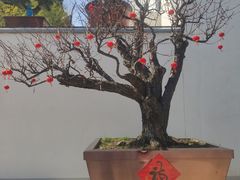 -龙华寺
