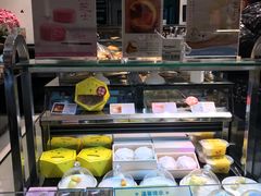 -蒲公英(五里店)