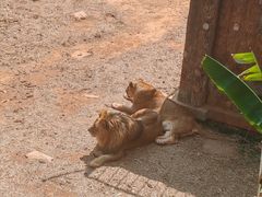 -昆明动物园