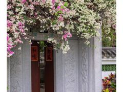 -深圳国际园林花卉博览园