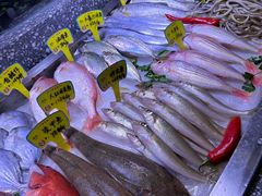-厝包四点金·潮宴(太古仓店)