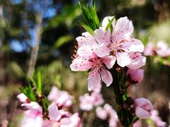 -上海滨江森林公园
