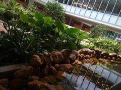 -香港大学