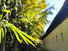 -西园戒幢律寺