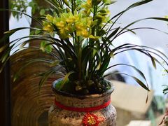 -杭州街角花屋花店(闻堰店)